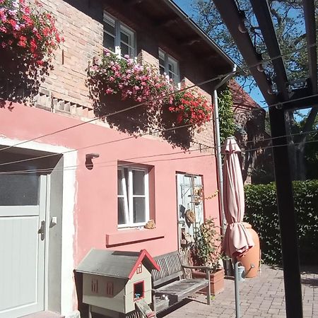 Ferienhaus In Der Historischen Altstadt Von Angermuende Angermunde Exteriör bild